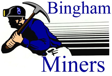 Bingham Logo (3)